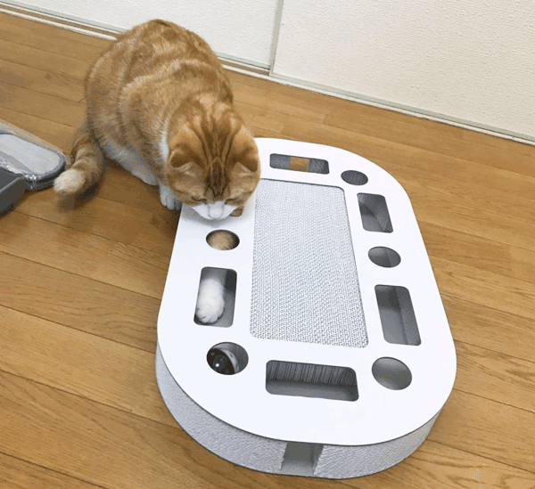 猫爪とぎ段ボール製